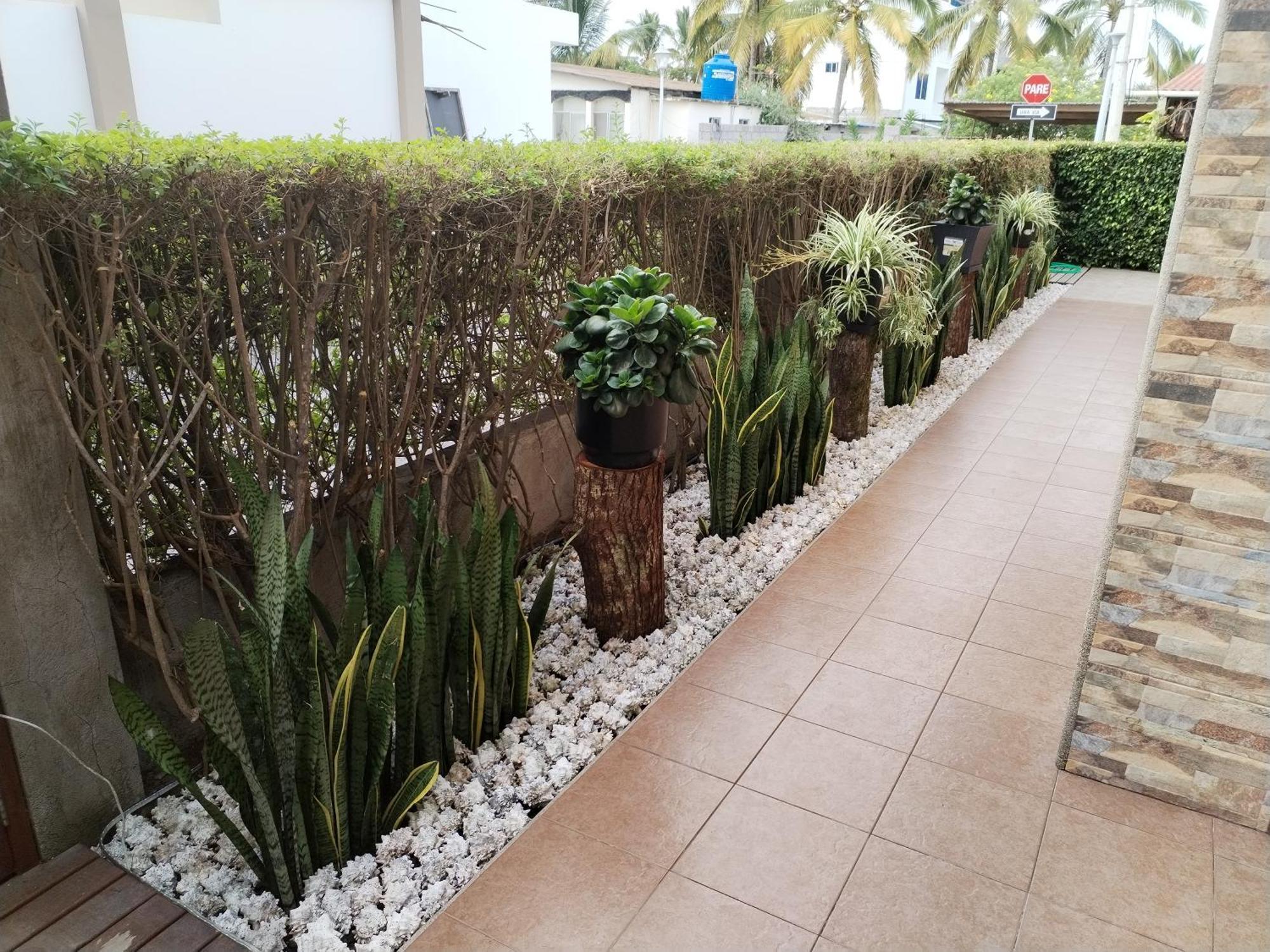 Hotel Starfish Puerto Villamil Kültér fotó